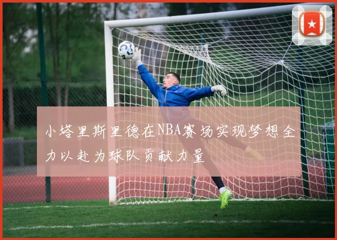 小塔里斯里德在NBA赛场实现梦想全力以赴为球队贡献力量